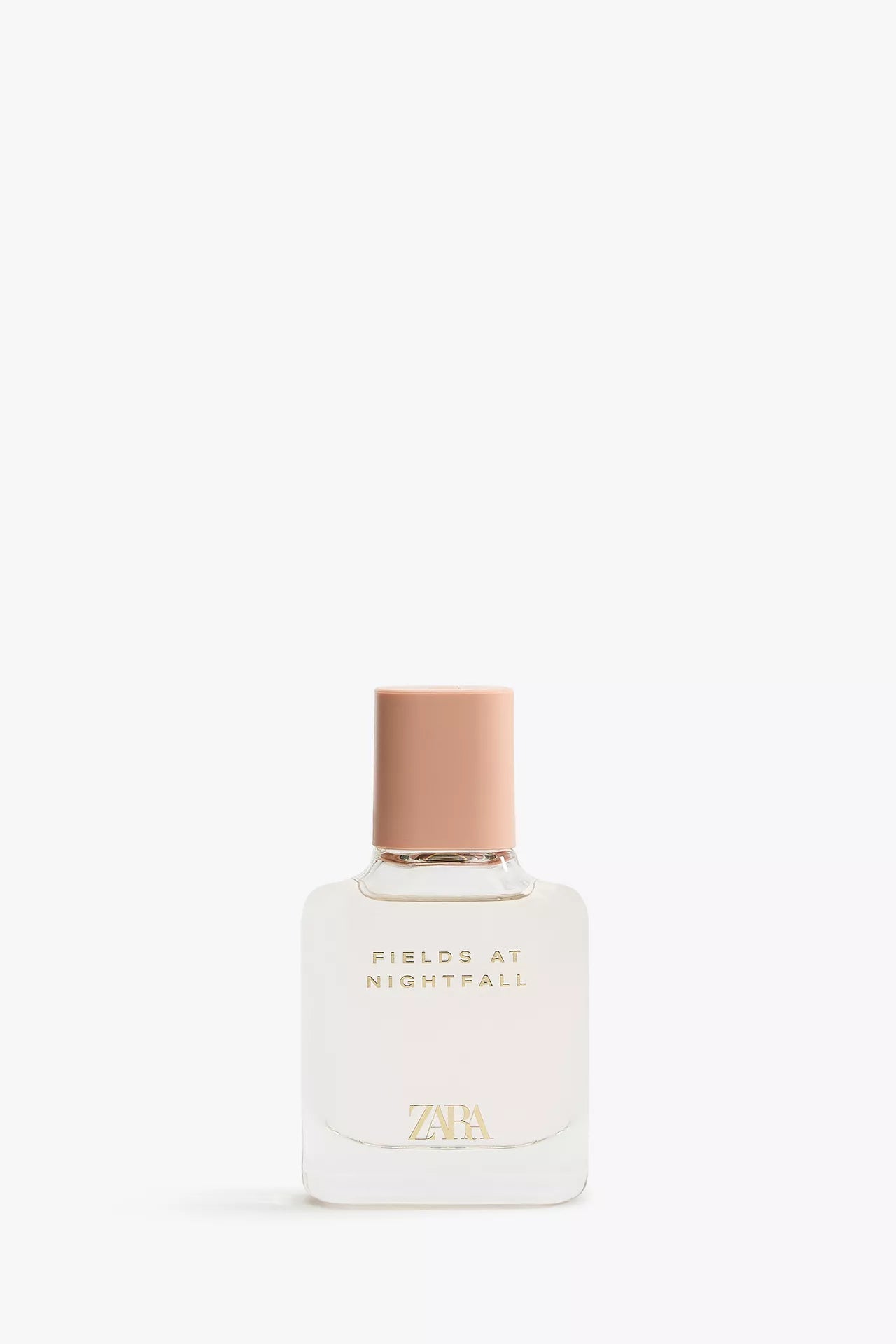 Zara - Field at Nightfall